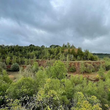 Ferienwohnung Studio Situe Aux Abords De La Foret Avec Parking Differdingen Exterior foto